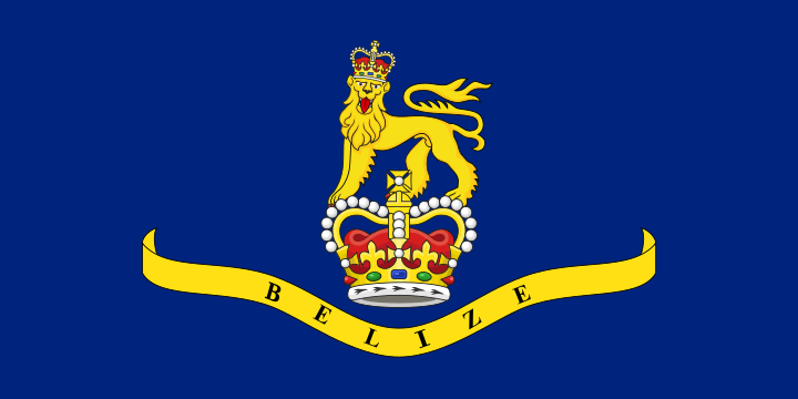 A blue flag with a crowned lion standing atop another crown, above a yellow scroll reading “Belize”